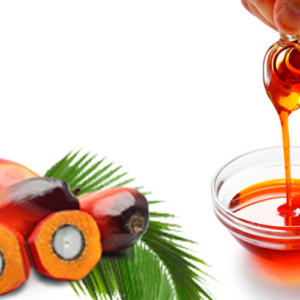 Buy Quality Crude Palm Oil Online
